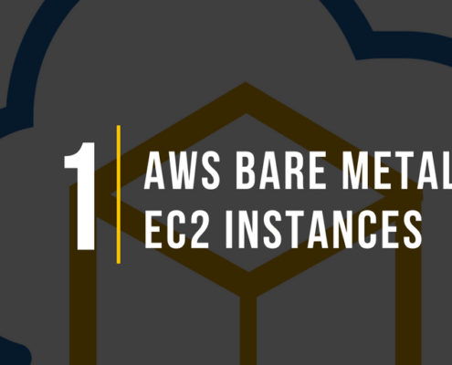 AWS Bare Metal EC2 Instances