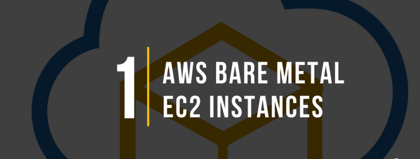 AWS Bare Metal EC2 Instances